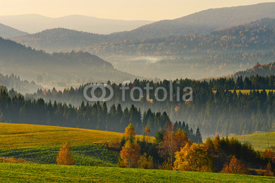 autumn landscape