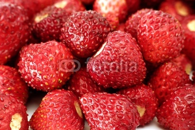 fresh wild strawberries